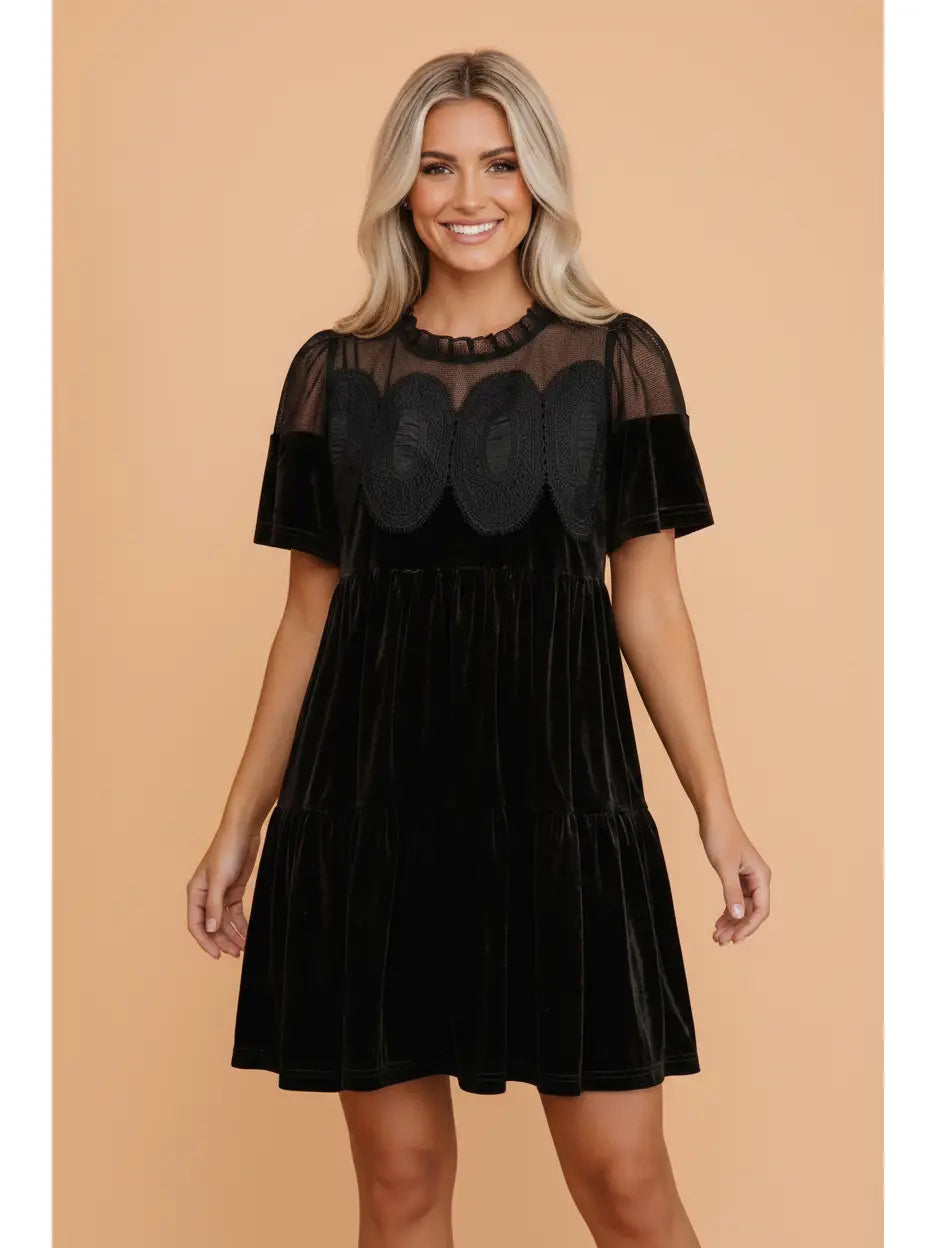 Black Embroidered Mesh Velvet Dress