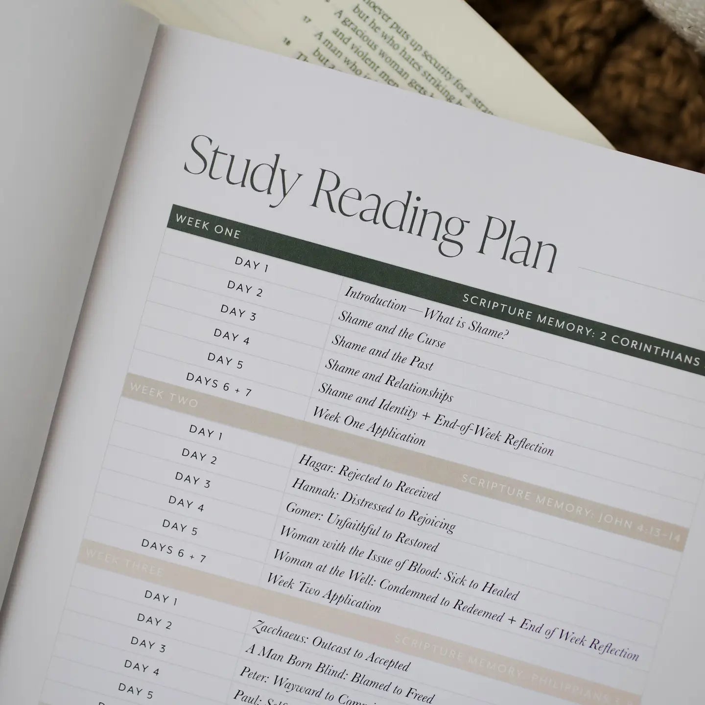 Free from Shame Bible Study