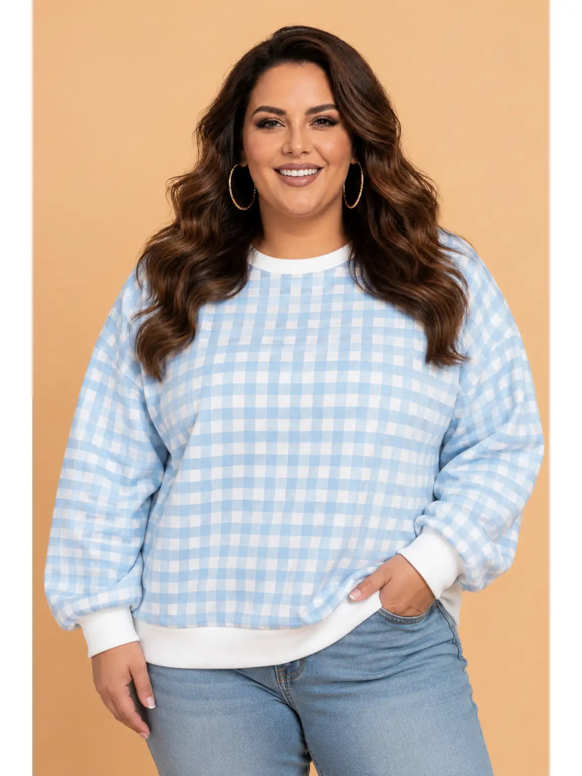Blue Gingham Sweatshirt - Curvy