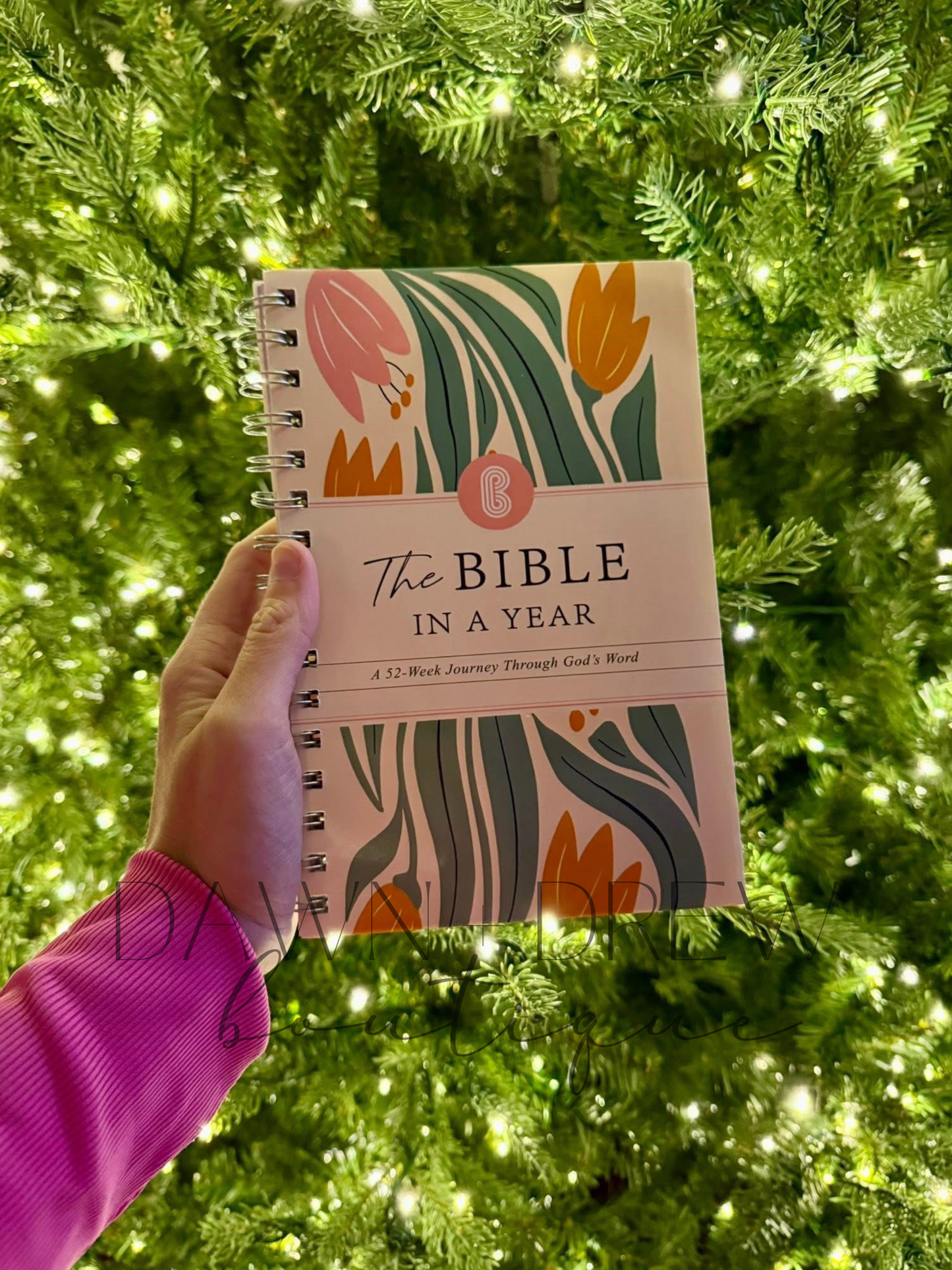 A Year in the Bible - CLOSES 11/10