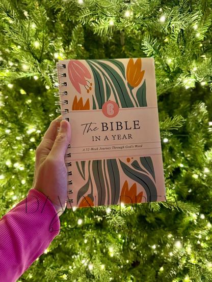 A Year in the Bible - CLOSES 11/10