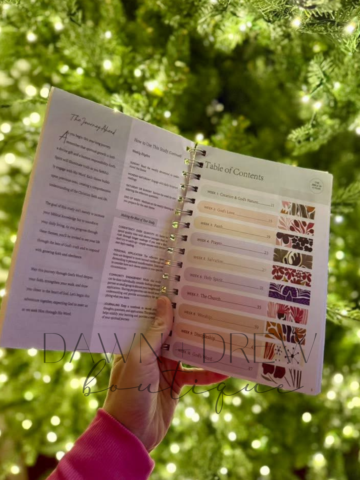 A Year in the Bible - CLOSES 11/10