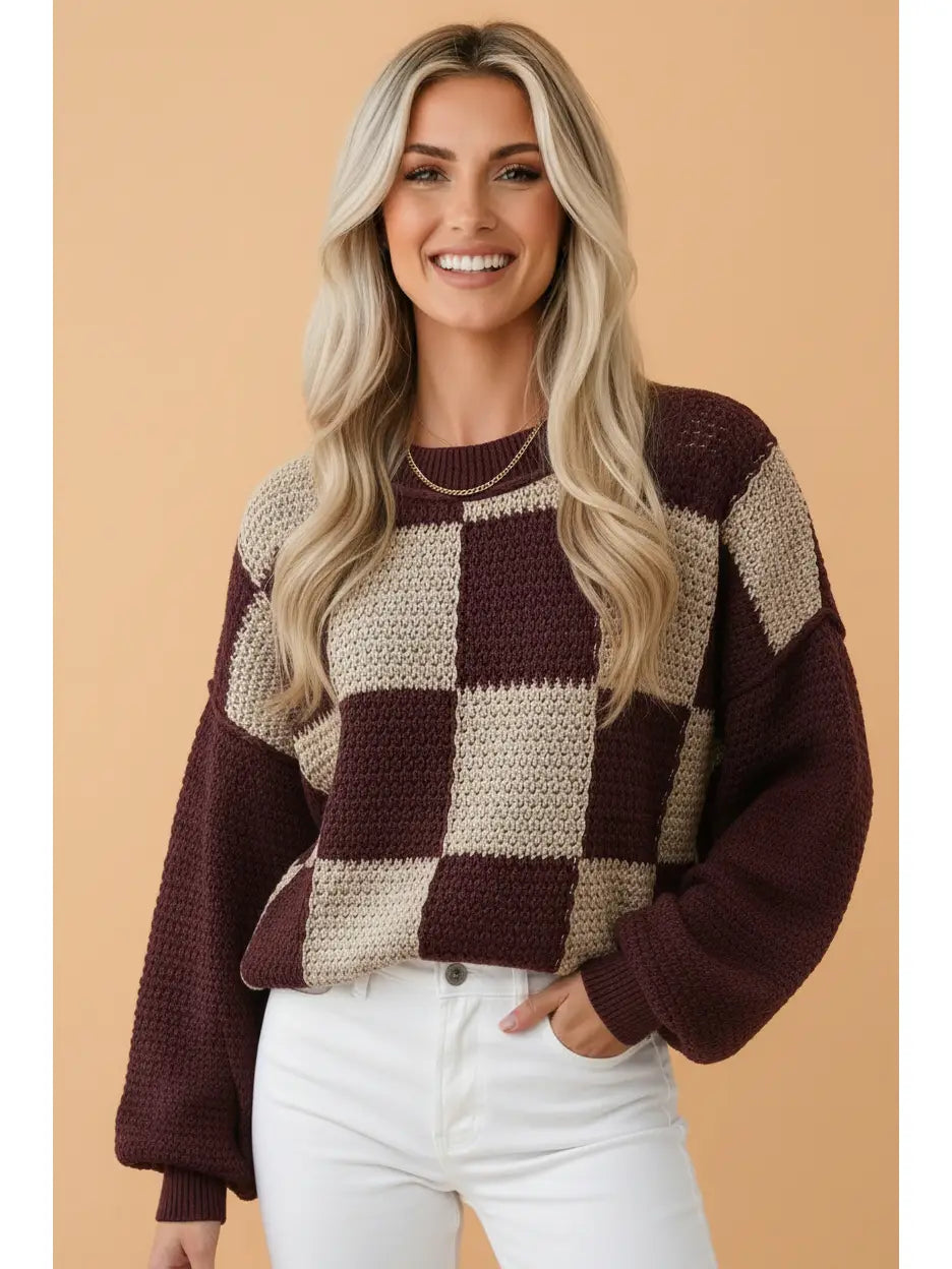 Checker Ribbed Trim Textured Knit Sweater